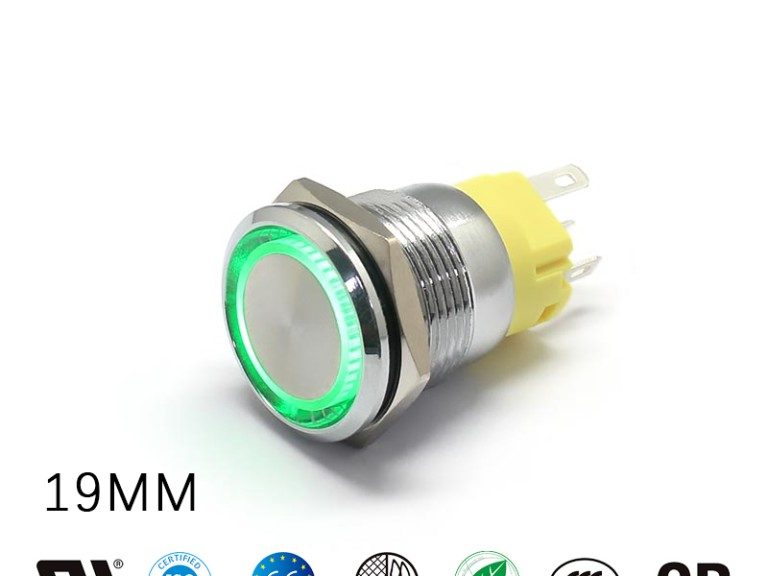 110 Volt Push Button Switch