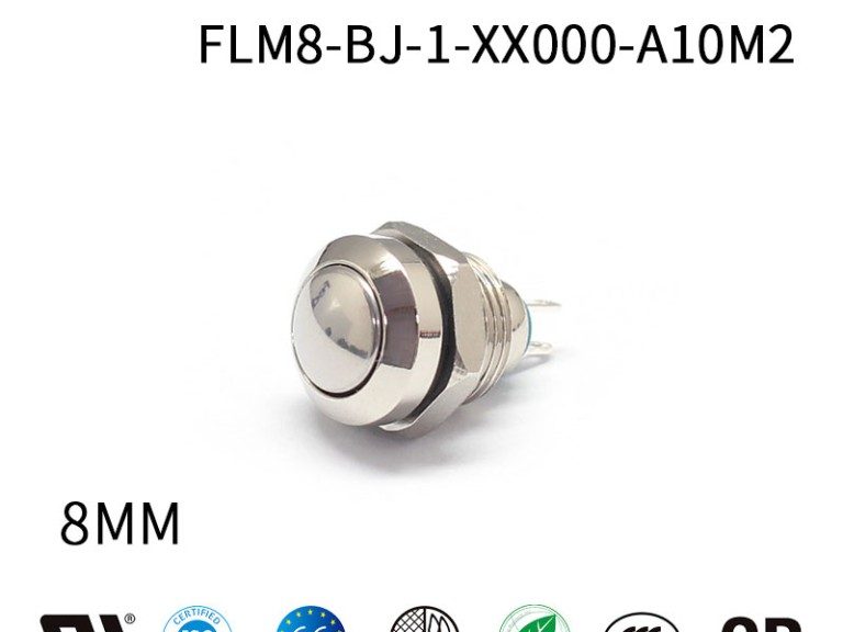 miniature push button switch
