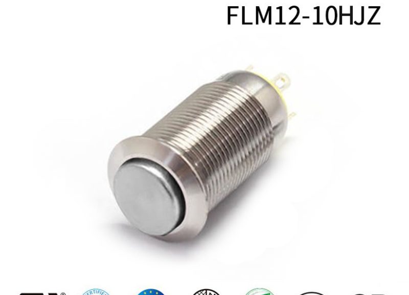 2 Pin Push BHutton Switch