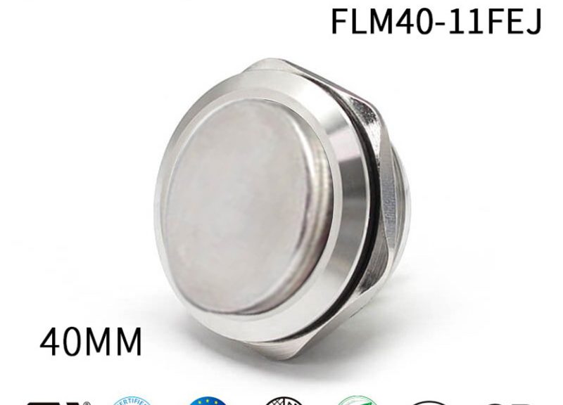 Large Momentary Push Button Switch