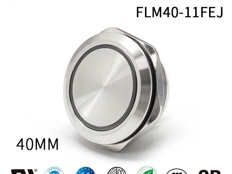 Large Push Button Switch