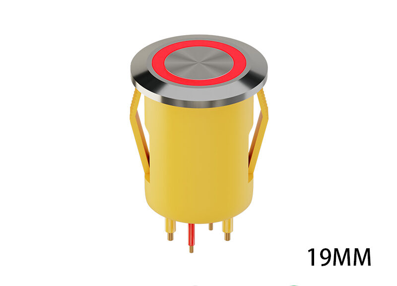 illuminated momentary push button switch